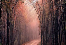 媒体人：伊万的逻辑实在看不懂，中前场五个进攻球员却收缩防守.