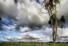 爱游戏：[澳网]德约科维奇：不知道是不是自己最后一届澳网.