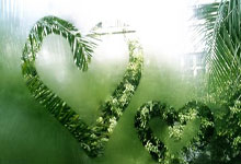 十人国安1-1成都，法比奥点射，费利佩破门，恩加德乌染红.