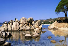 爱游戏：明日大战，国足进入杭州奥体中心内场踩场.